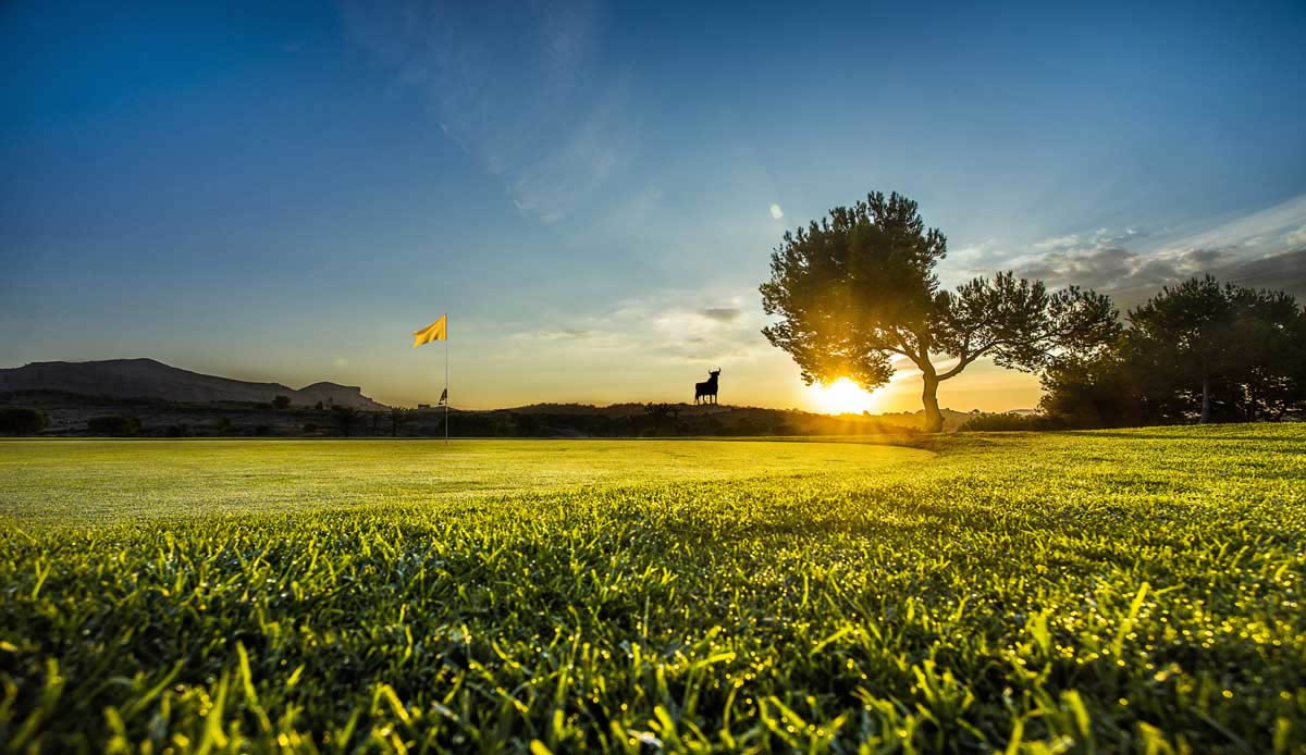 alenda golf course